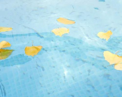 The Ultimate Guide to Hiring a Florida Business Lawyer