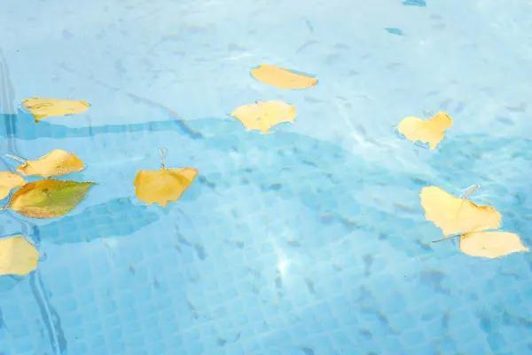 The Ultimate Guide to Hiring a Florida Business Lawyer