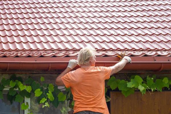 Seattle Roofing Company Services Every Property Owner Should Know
