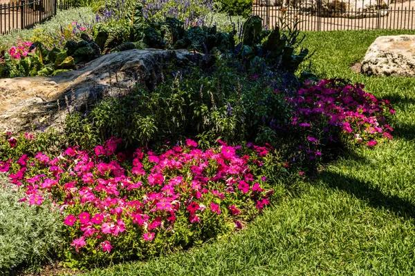 Quality Casselberry Landscaping at Competitive Prices